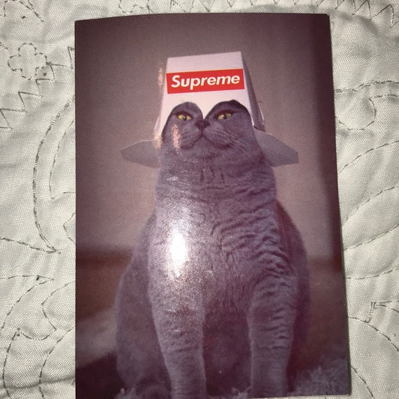 Funny supreme cat sticker - Picture 1 of 1